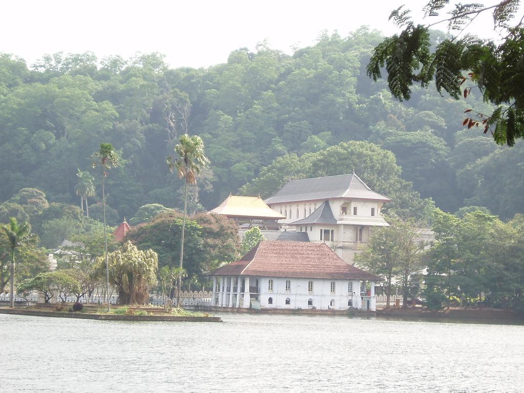 Strathisla Tea Estate Bungalow マータレー エクステリア 写真