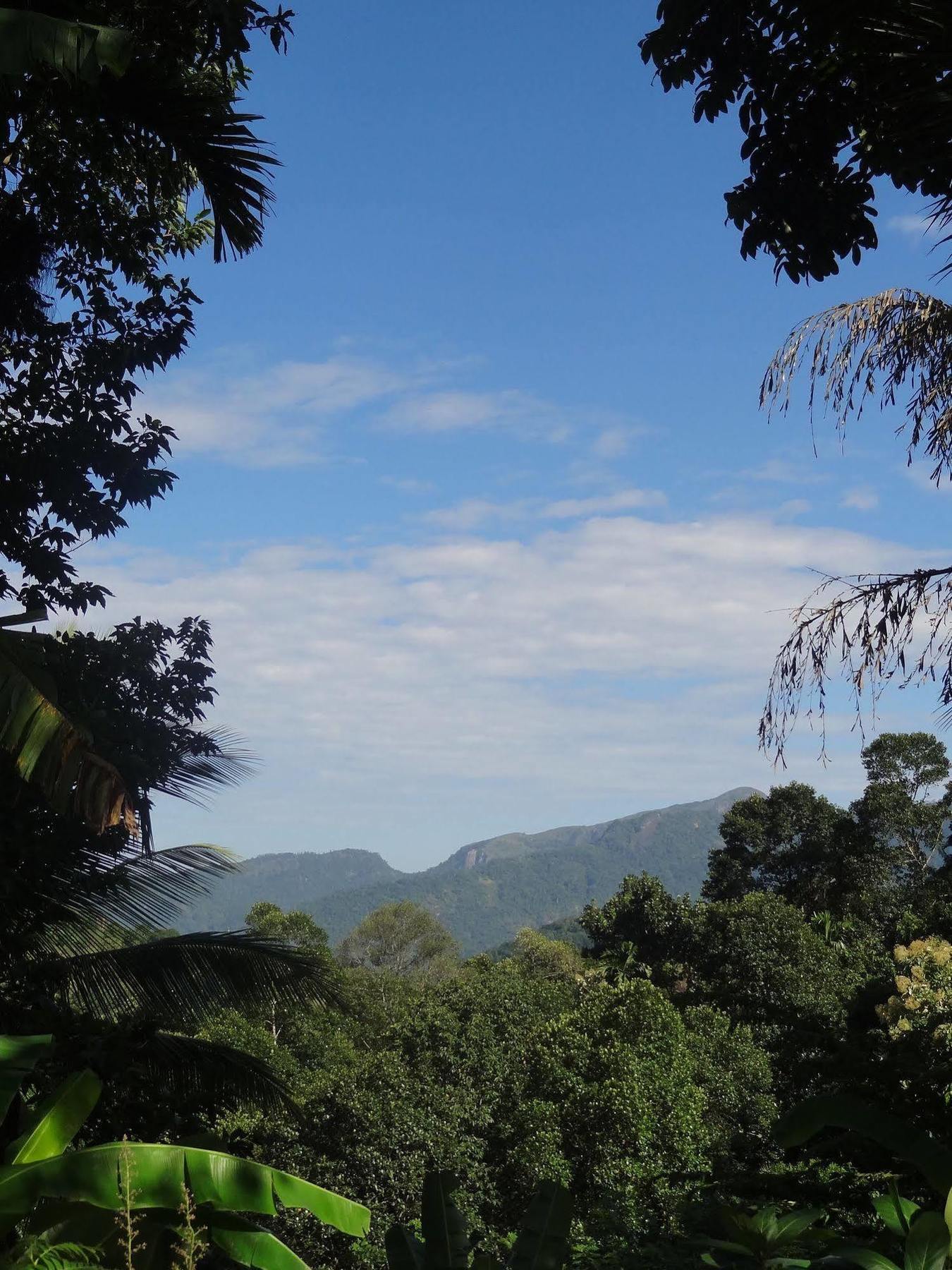 Strathisla Tea Estate Bungalow マータレー エクステリア 写真