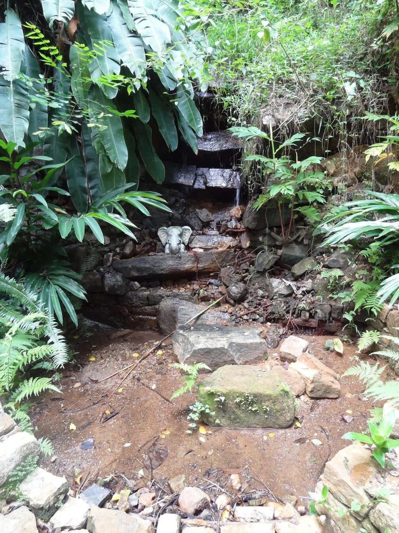Strathisla Tea Estate Bungalow マータレー エクステリア 写真