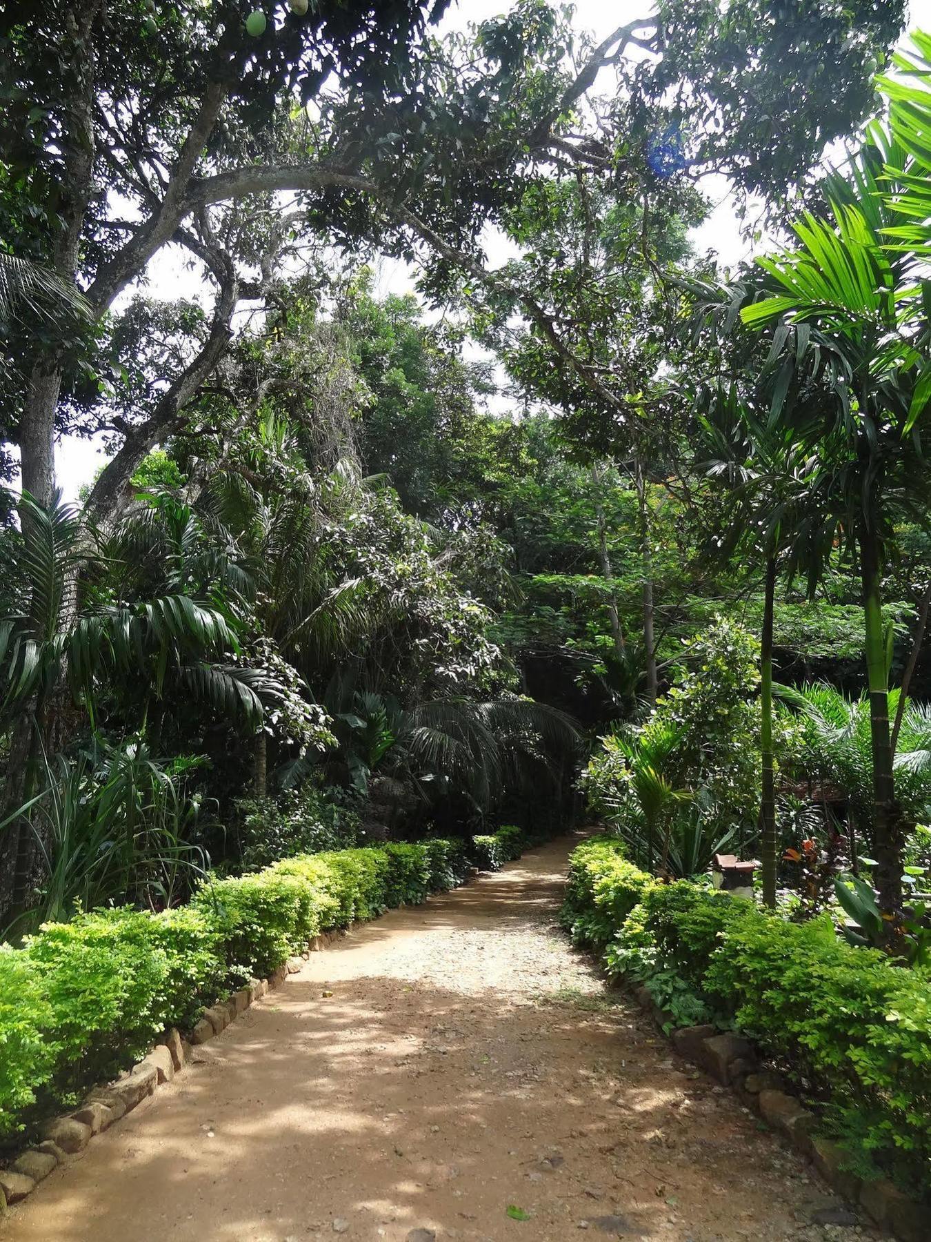 Strathisla Tea Estate Bungalow マータレー エクステリア 写真