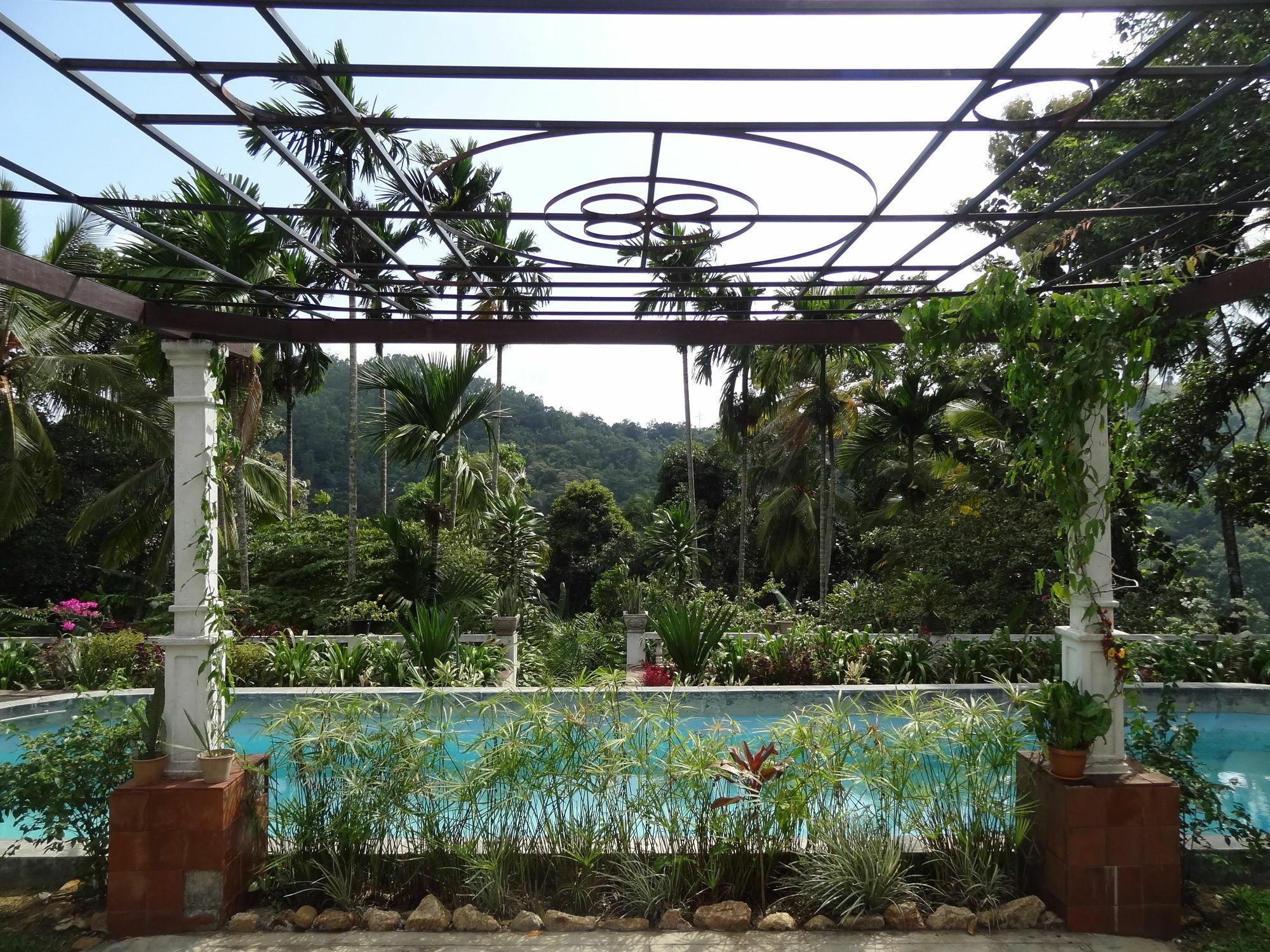 Strathisla Tea Estate Bungalow マータレー エクステリア 写真